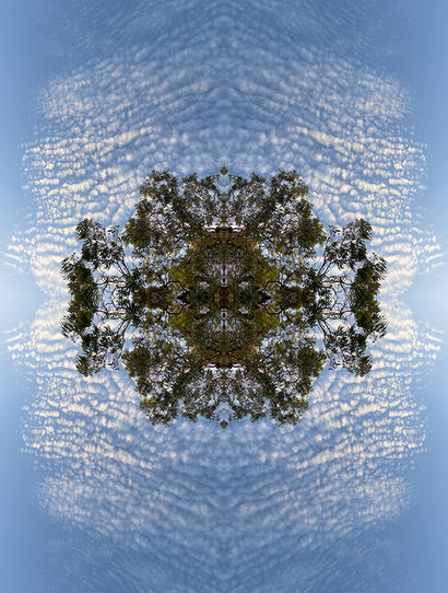 Turn and Face the Stranger VII - a Photographic Art Artowrk by Penelope Richardson